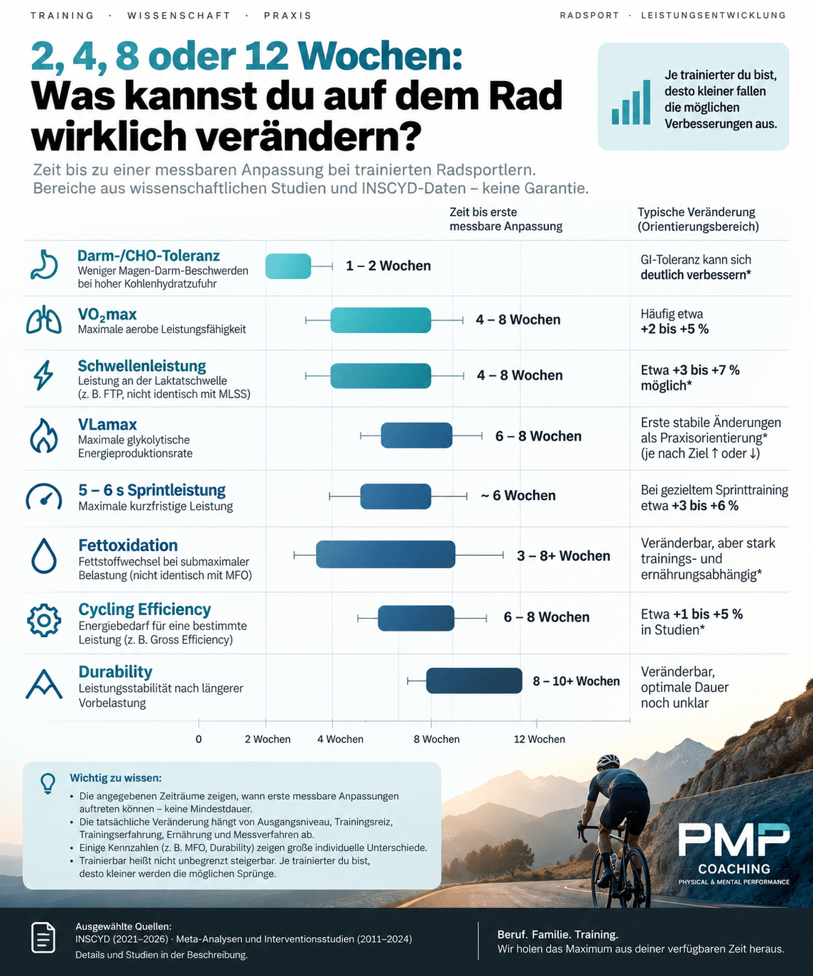 PMP Vorschaubild zum Artikel über realistische Trainingsanpassung